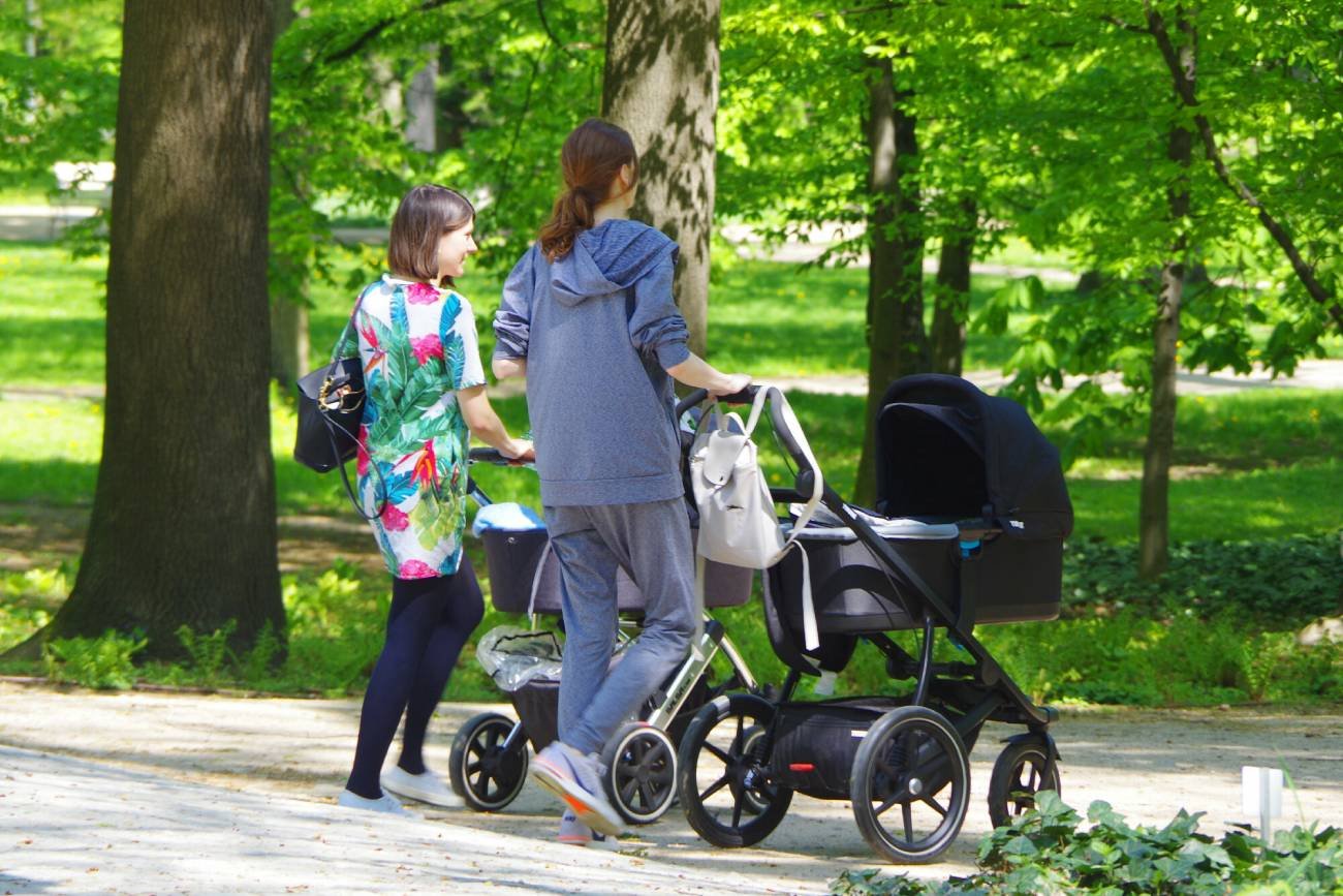 500 plus, kiedy wypłata 500 plus, wyrównanie 500 plus, wniosek na 500 plus do zusu