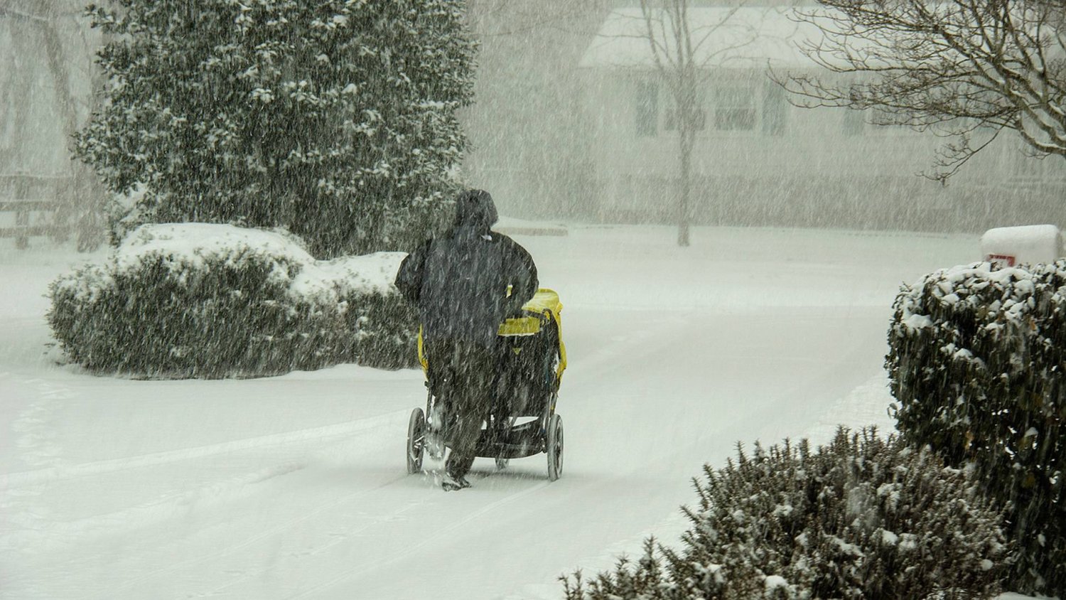 Spacer zimą to walka o przetrwanie. Rodzice i osoby z niepełnosprawnościami ją przegrywają