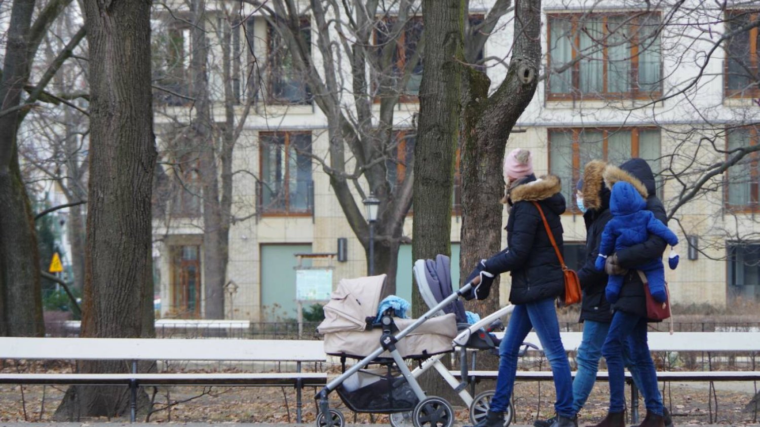 bezwarunkowy dochód podstawowy, pieniądze, polityka, świadczenia dla każdego, 1200 zł dla każdego