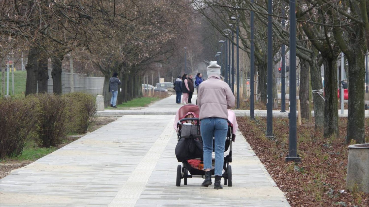 Kobieta z wózkiem na spacerze. Kobieta z wózkiem na spacerze.