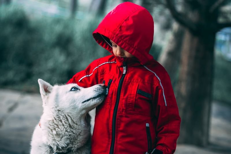 Jak kształtować w chłopcu życzliwość i empatię?