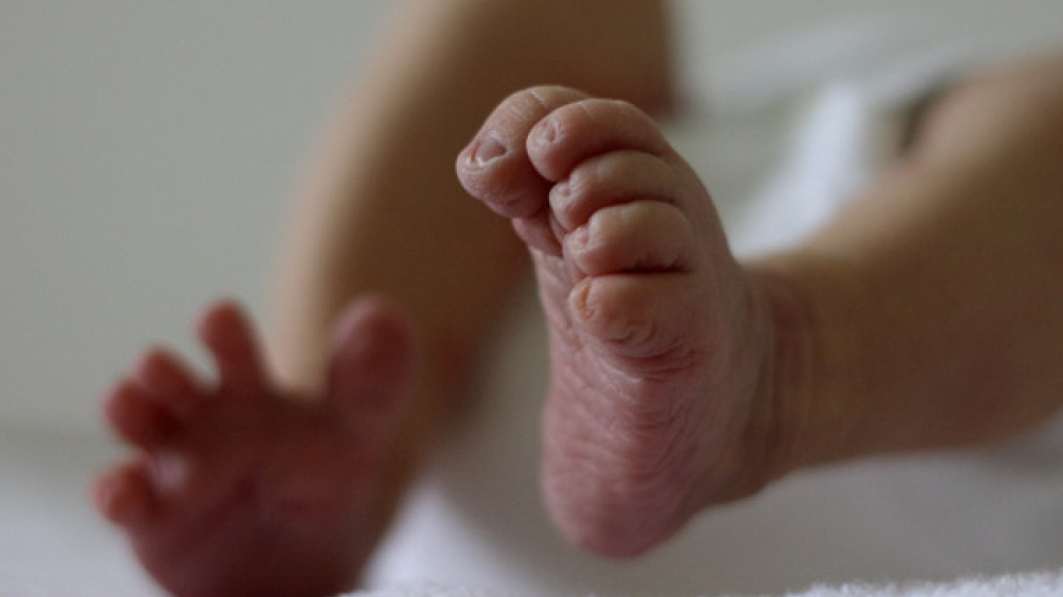 Fot.Pixabay.com / [url=https://pixabay.com/pl/stopy-odradza-się-baby-nogi-640778/]fritzbraus [/url] / [url=https://pixabay.com/pl/service/terms/#usage]CC0 Public Domain [/url]
