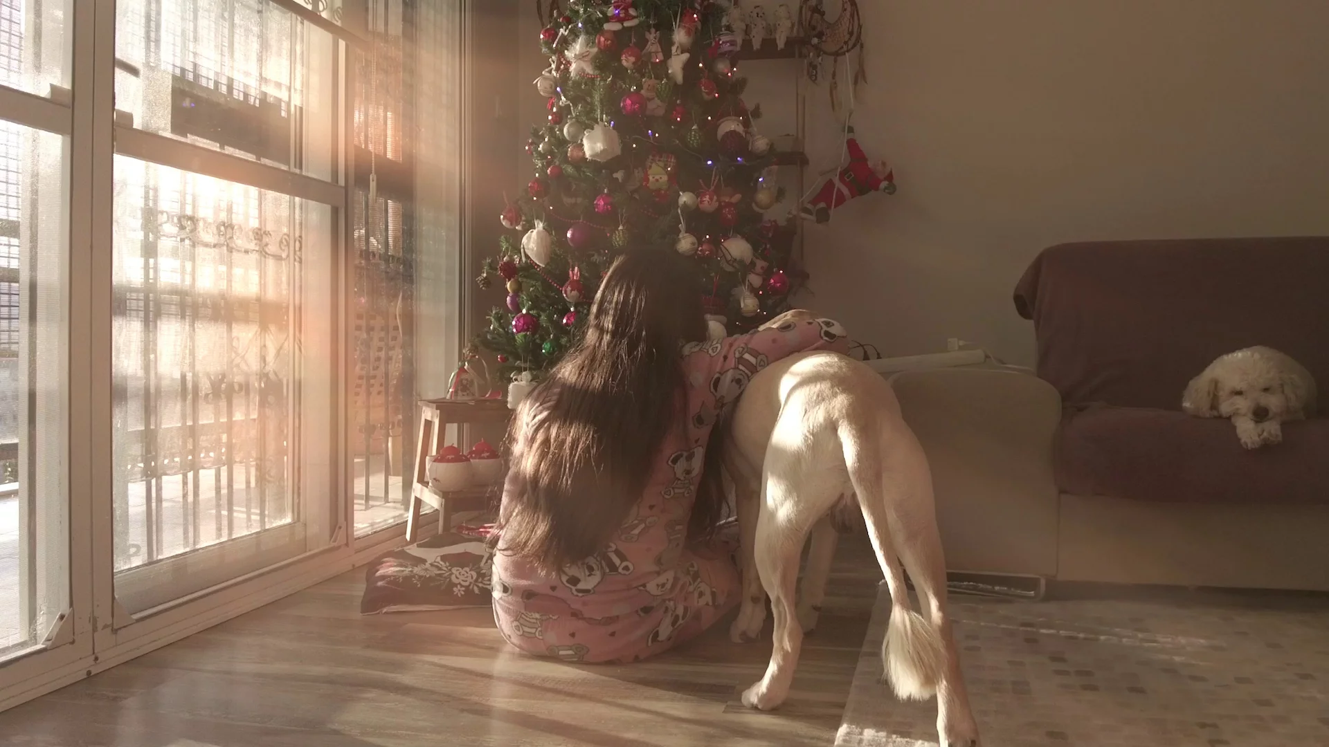 dziecko przy choince