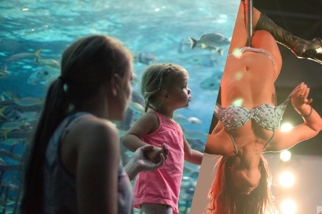 Fot.  Flickr/[url=http://bit.ly/1e52I1V]Paulo Guereta[/url] / [url=http://bit.ly/1VaX5RL]Donnie Ray Jones[/url]  / [url=http://bit.ly/mamadu]CC BY[/url]