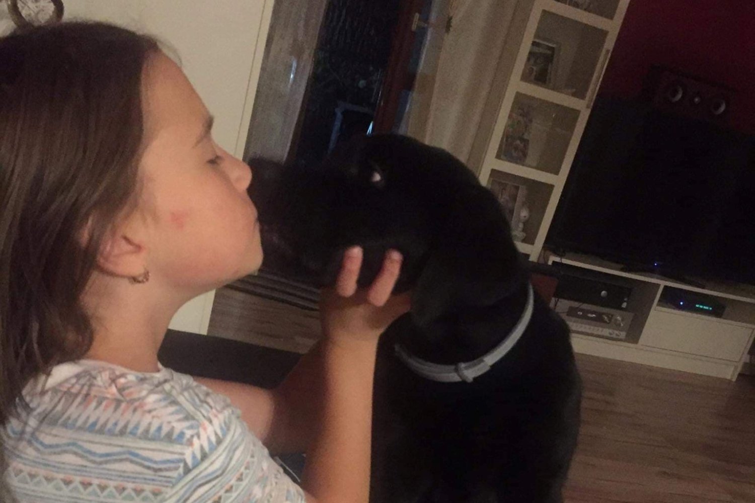 12-letnia Maja zbiera pieniądze na operację psa