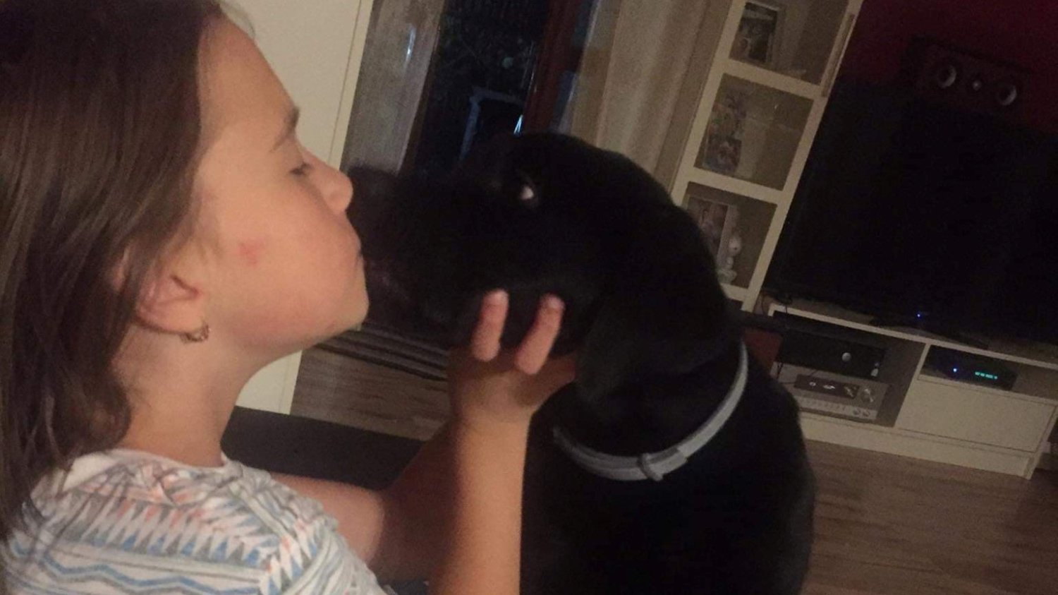 12-letnia Maja zbiera pieniądze na operację psa