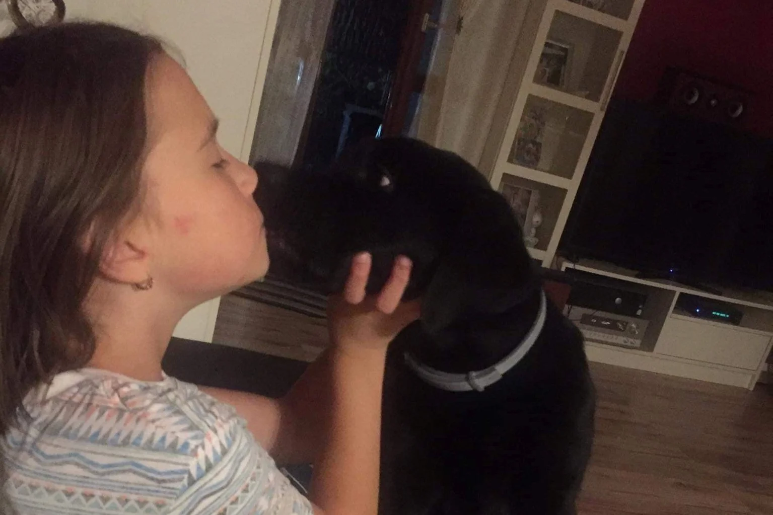 12-letnia Maja zbiera pieniądze na operację psa
