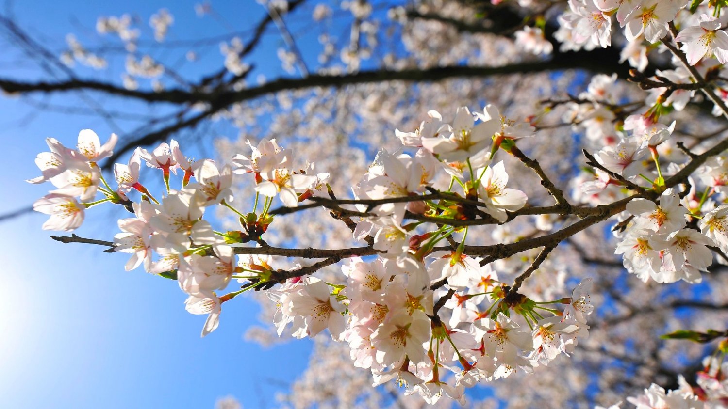 Majówka jak lato, choćby 28 stopni. Ale to, co nadejdzie później, może pokrzyżować plany