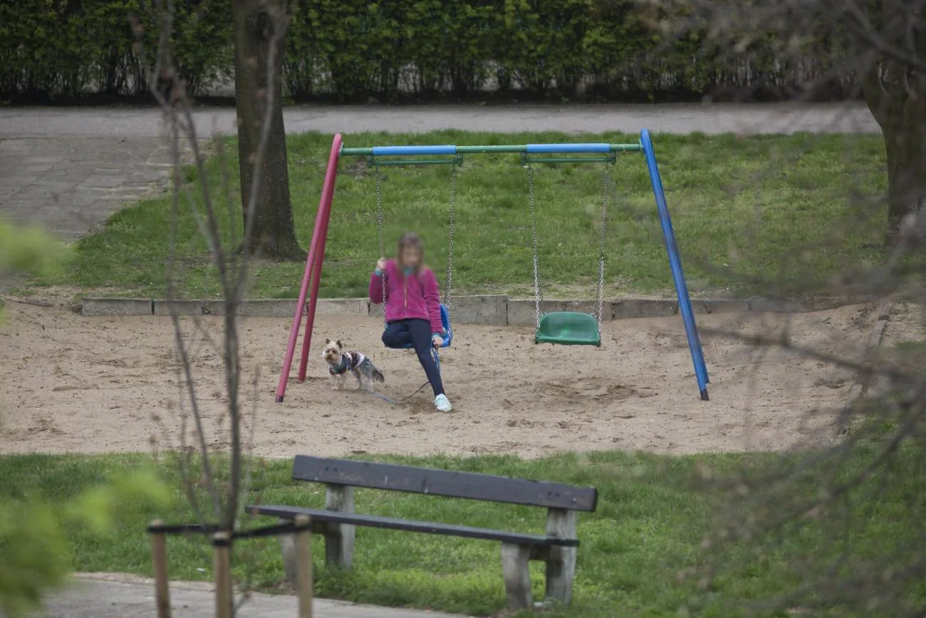 Dziecko bawi się na placu zabaw w towarzystwie psa.