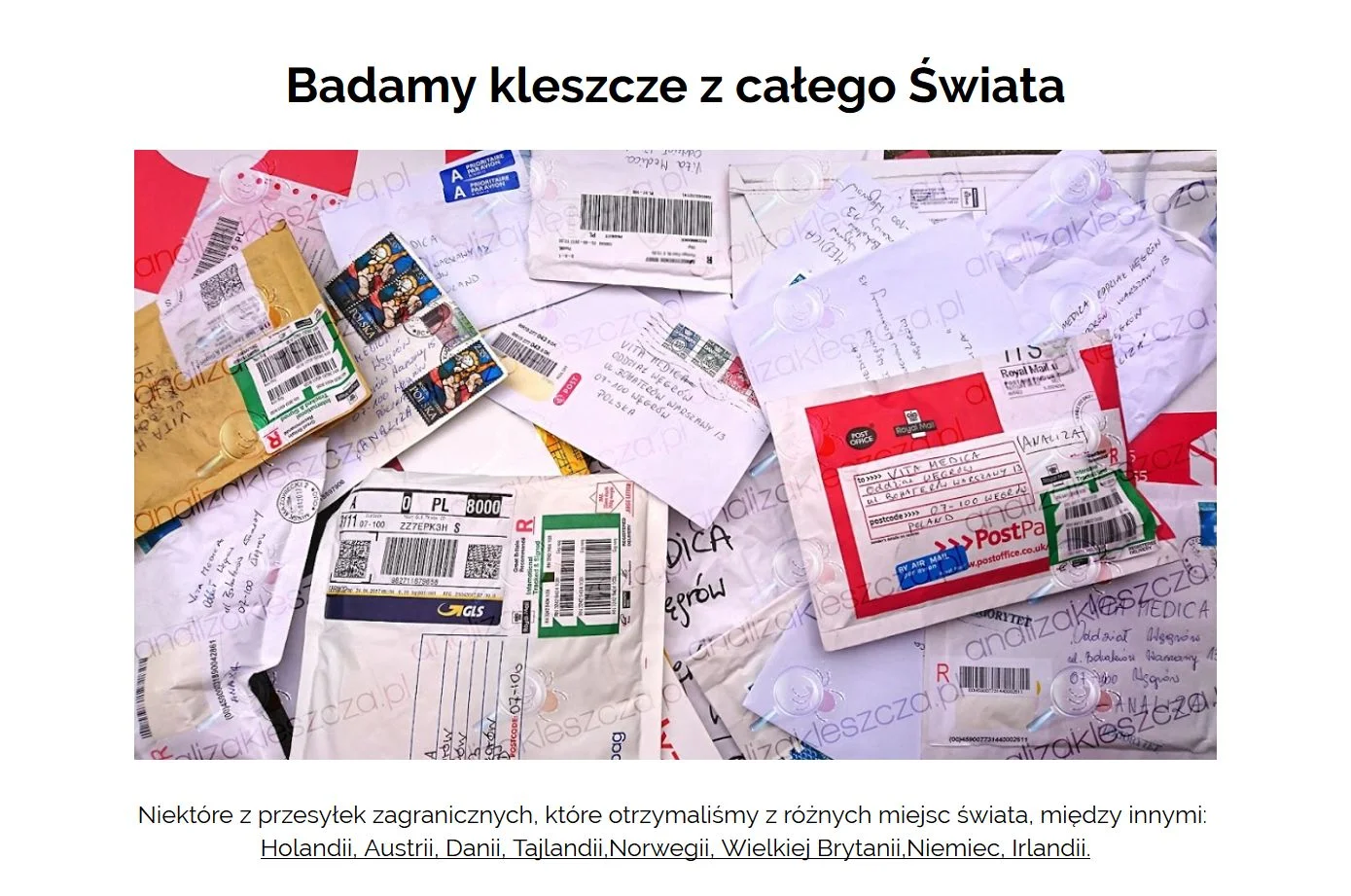 Ludzie z całego świata badają "swoje" kleszcze
