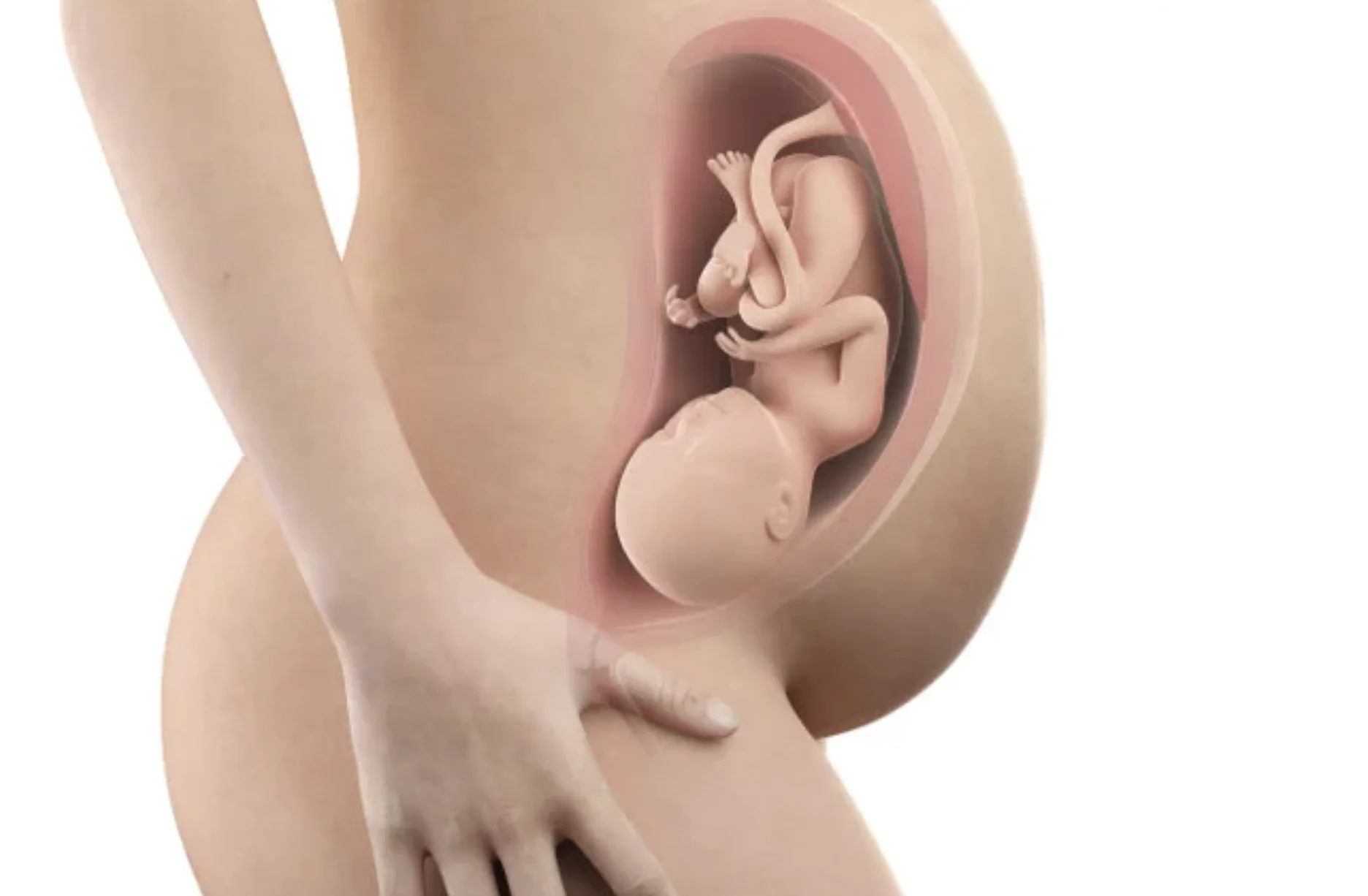 jak wygląda brzuch w 37 tygodniu ciąży