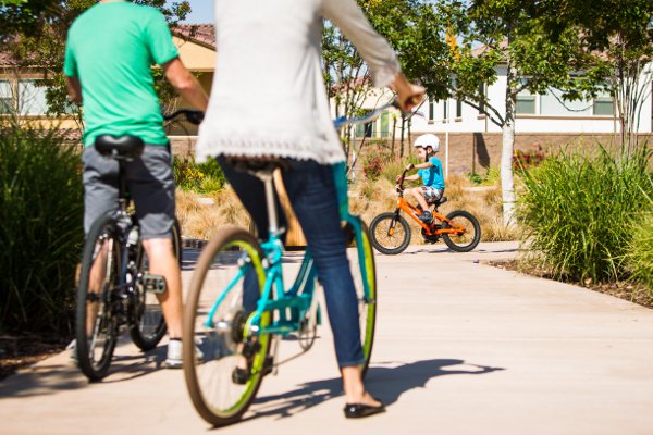 Fot. Materiały Promocyjne Liv