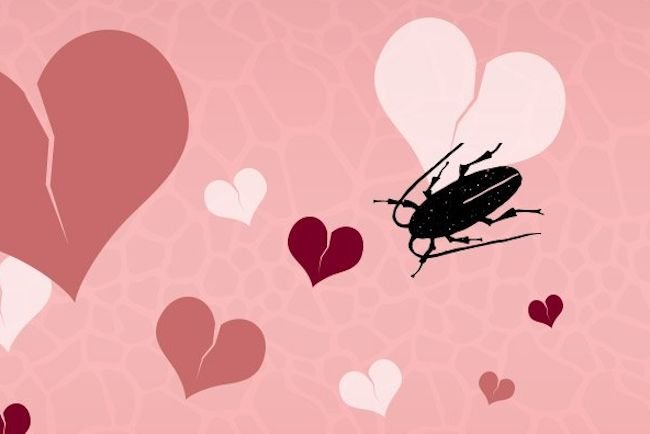 Nie możesz zapomnieć o byłym Nazwij karalucha imieniem ex i zrób tę rzecz