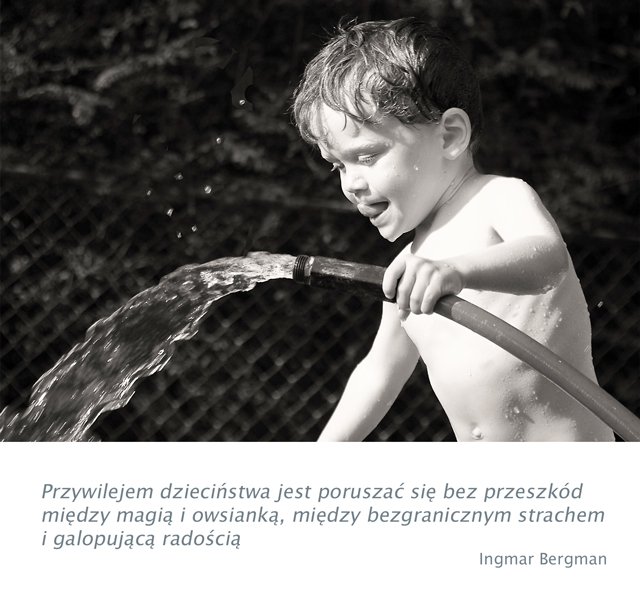 Fot. Materiały Prasowe