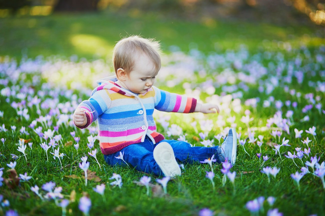 Co pyli w marcu — jakie rośliny i drzewa?