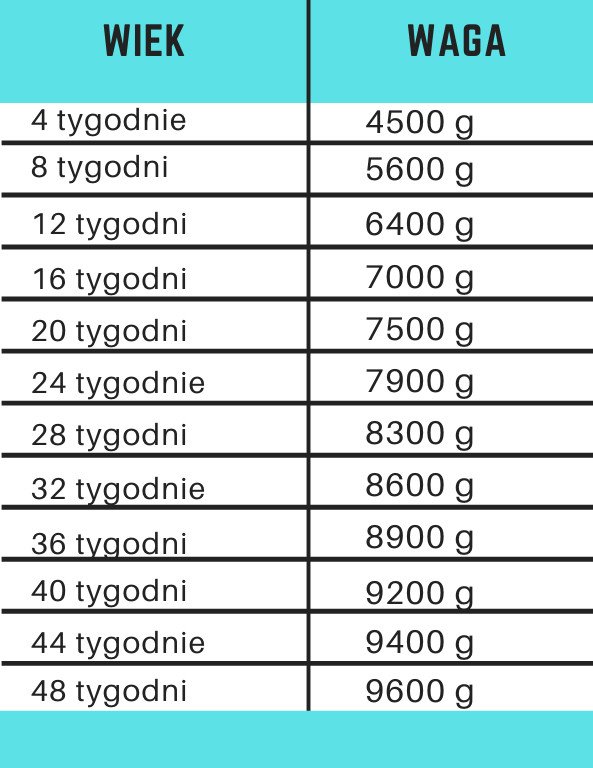 Waga chłopców w pierwszym roku życia