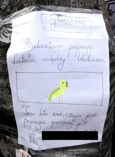 Ogłoszenie trafiło też do sieci