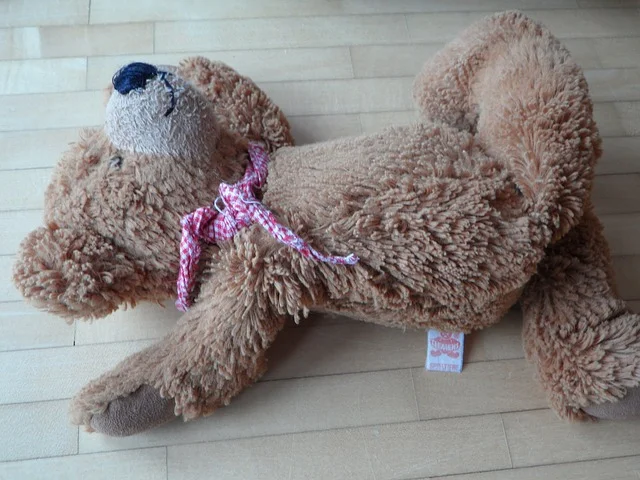 Fot. Pixabay/ [url=http://pixabay.com/pl/teddy-nieostro%C5%BCny-wyrzuci%C4%87-urlopu-103597/]Efaimstochter[/url] / [url= http://pixabay.com/pl/service/terms/#download_terms]CC O[/url]