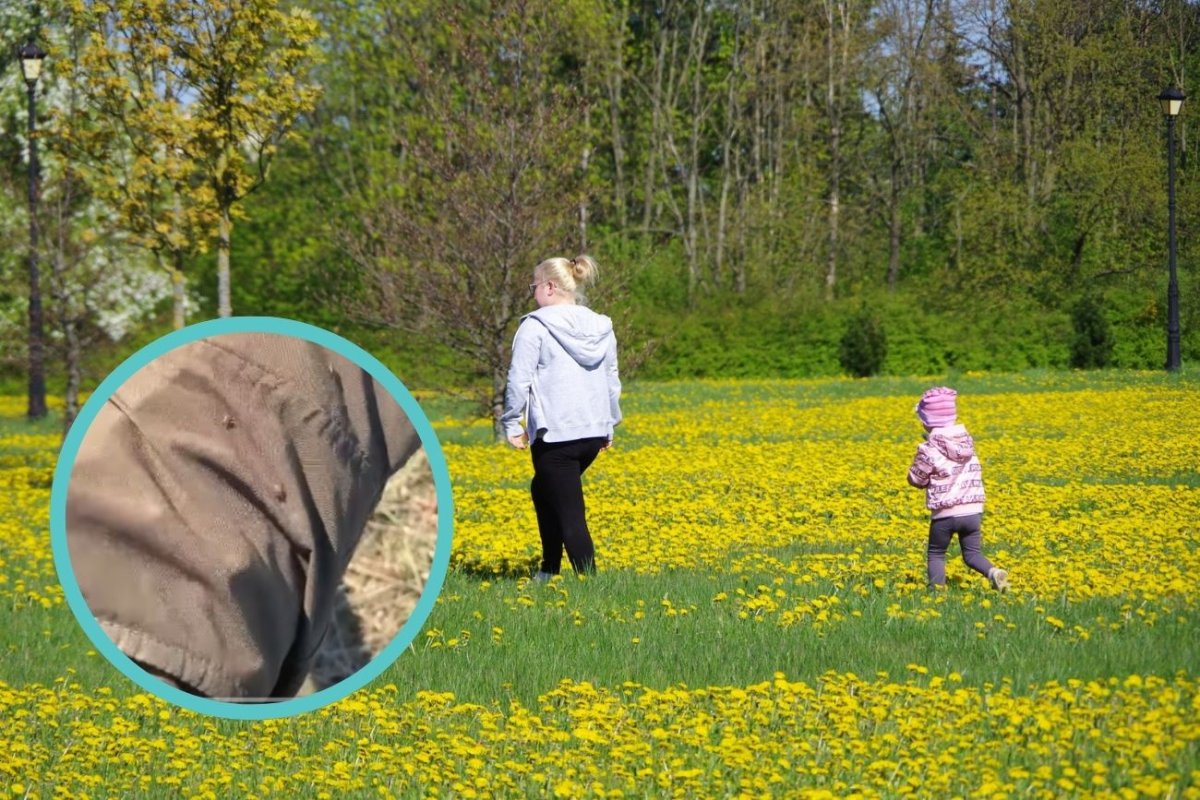 Pokazał nagranie ze spaceru. Film ma ponad 5 mln wyświetleń i mrozi krew w żyłach