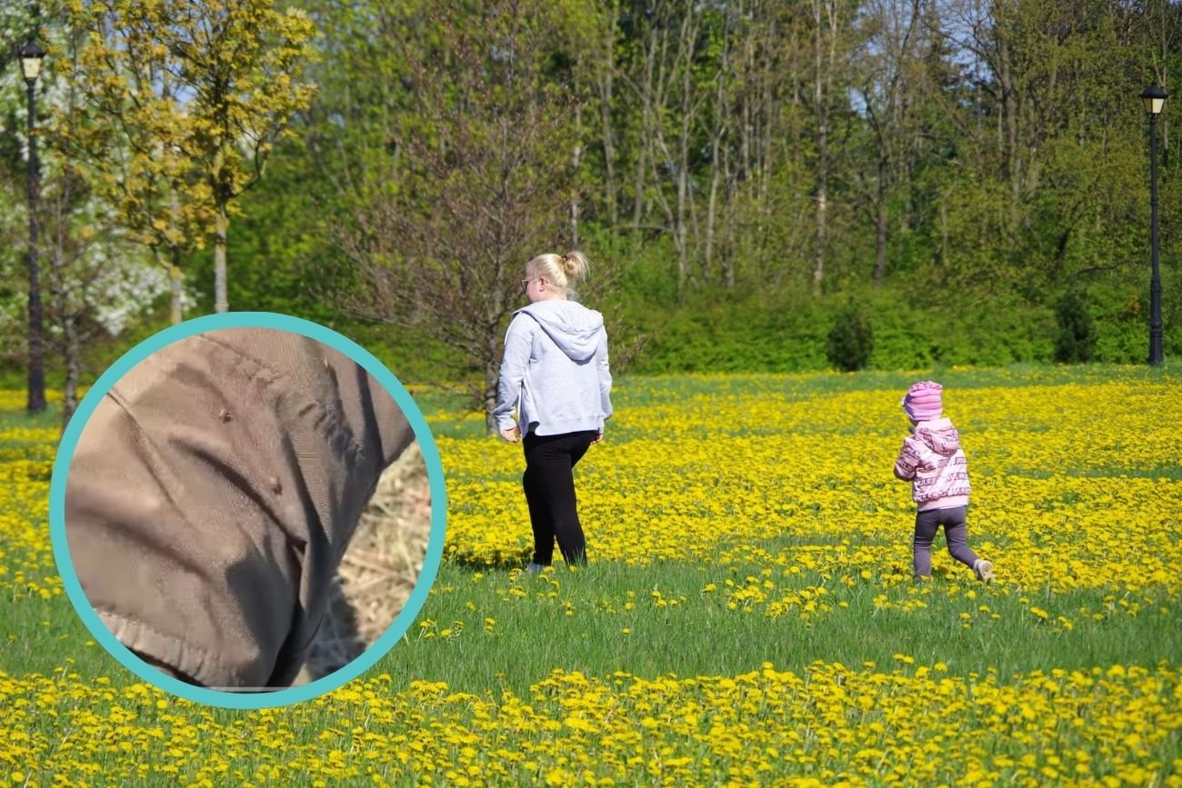 Matka z dzieckiem na spacerze na łące.