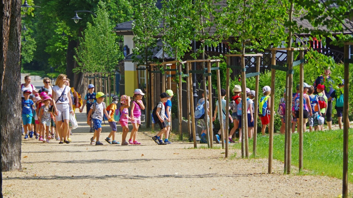 kolonie