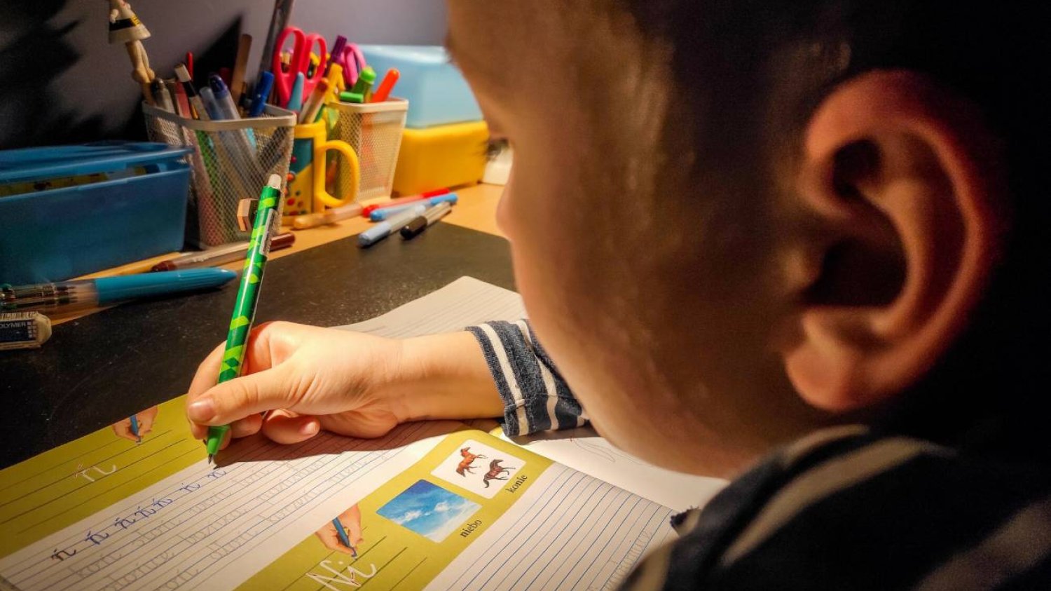 edukacja domowa, co to jest, jak przenieść dziecko do edukacji domowej, edukacja domowa formalności, szkoły przyjazne ed, prawo/podstawa prawna, egzaminy, edukacja domowa szkoła podstawowa/liceum, szkoła w chmurze, ed wady i zalety