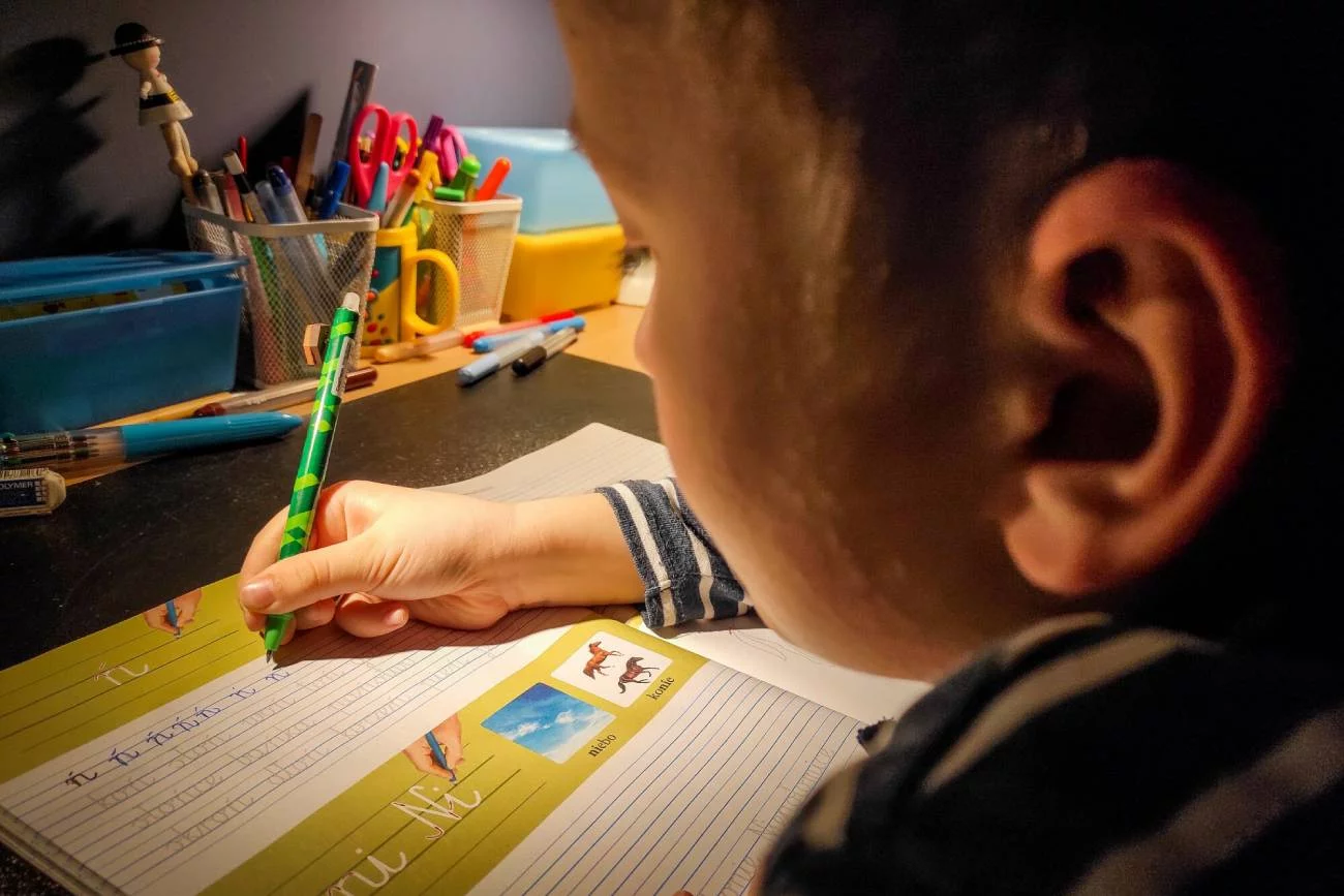 edukacja domowa, co to jest, jak przenieść dziecko do edukacji domowej, edukacja domowa formalności, szkoły przyjazne ed, prawo/podstawa prawna, egzaminy, edukacja domowa szkoła podstawowa/liceum, szkoła w chmurze, ed wady i zalety