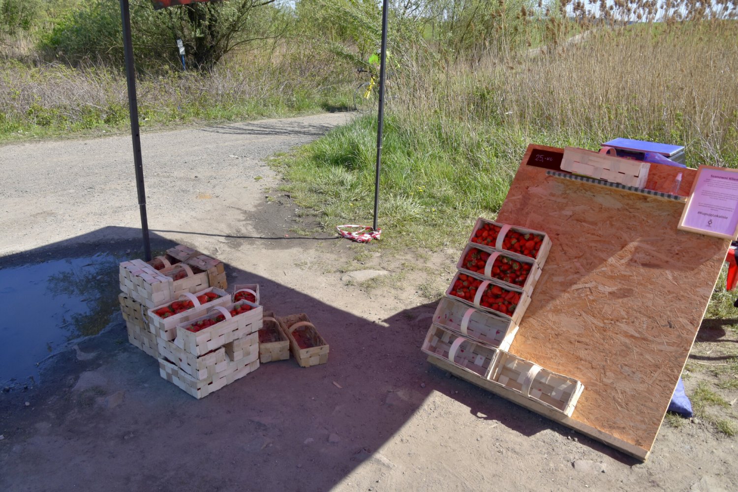 owoce kupione przy drodze, maliny ze straganu, spleśniałe owoce