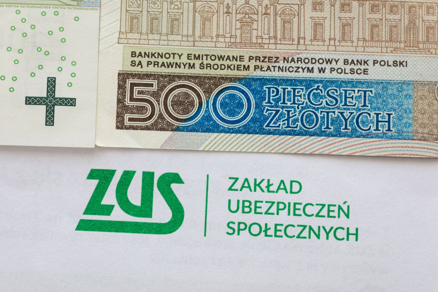 Wnioski o 500 plus co roku - dlaczego