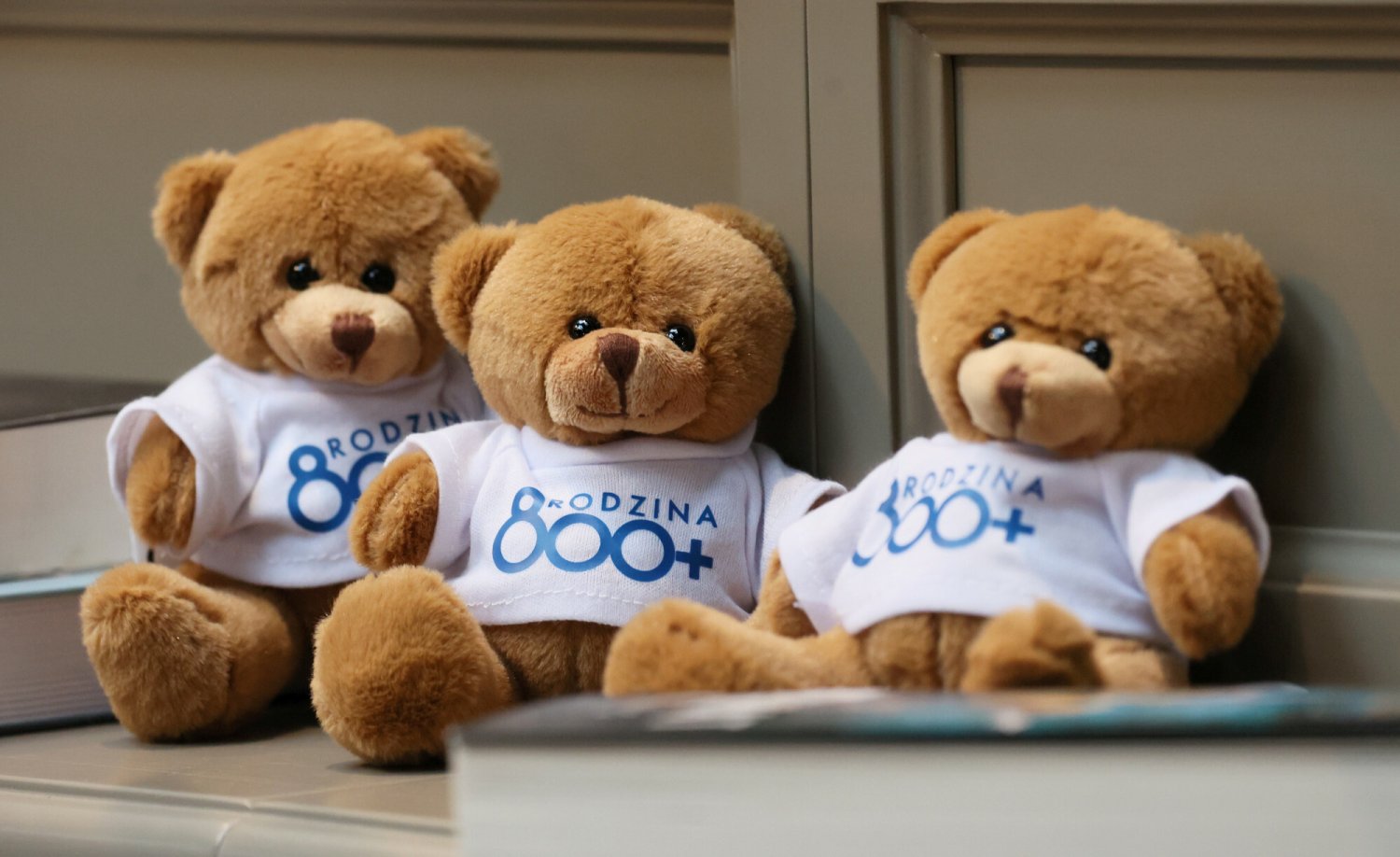 misie promujące 800 plus