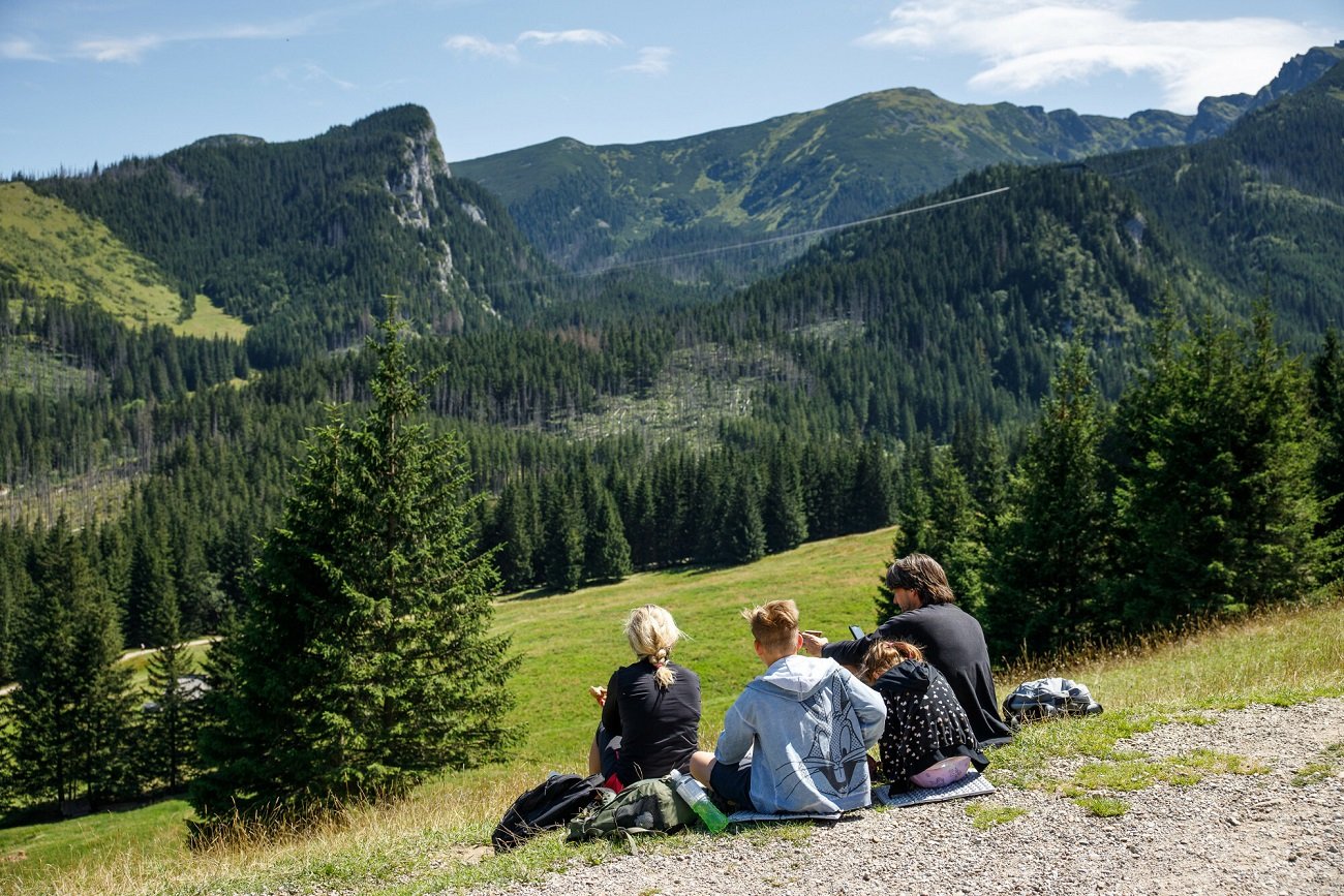 Te zapachy odstraszają kleszcze. Kupisz je za grosze, chemia niepotrzebna