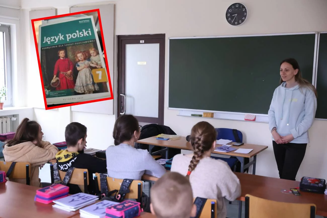 Murzyn, obraźliwe słowo, podręcznik do polskiego, nauka języka polskiego, podręcznik szkolny, podręcznik do języka polskiego, MEiN, Rada Języka Polskiego