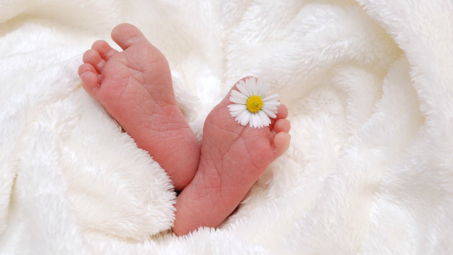 Fot. Pixabay / [url=https://pixabay.com/pl/baby-urodzenia-dziecko-prezent-718146/]kelin[/url] / [url=https://pixabay.com/pl/service/terms/#usage]CC0 Public Domain[/url]