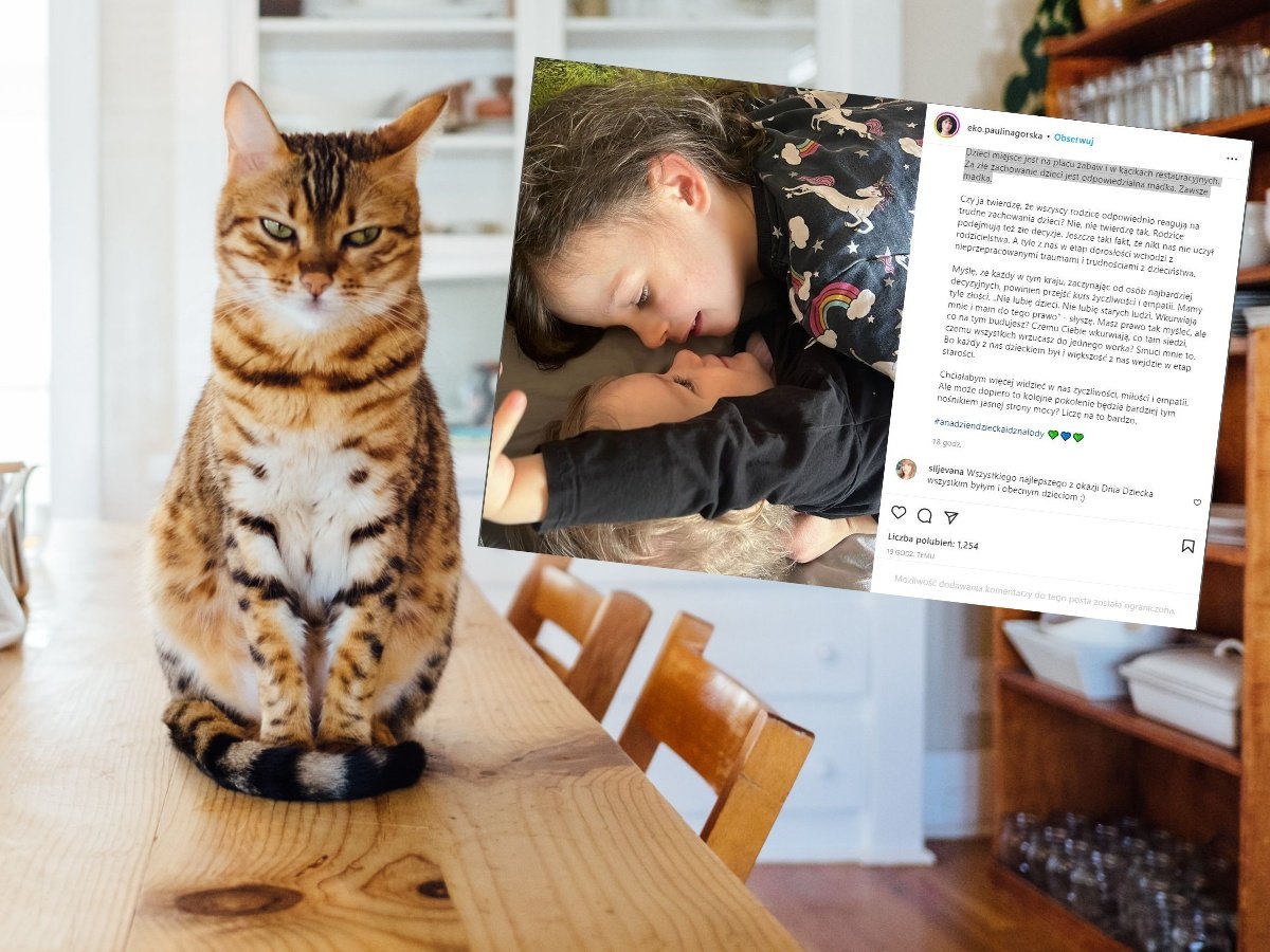 kocia kawiarnia, dzieci, zakaz wstępu