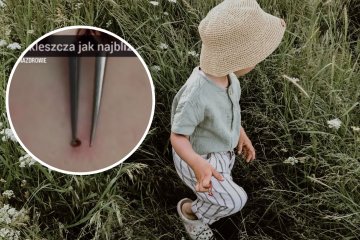 Chłopiec spaceruje po łące, na której mogą być kleszcze.