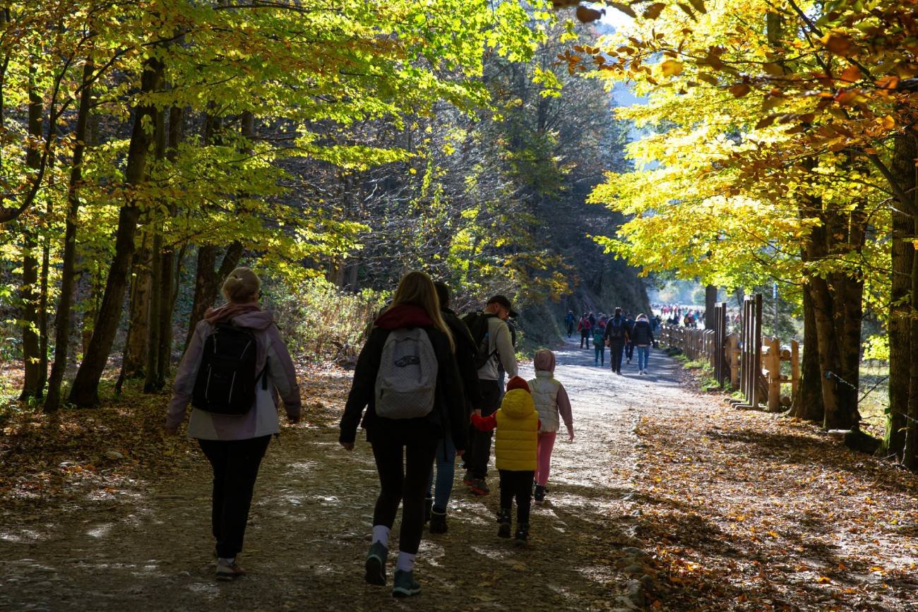 Grupa turystów z dziećmi na szlaku w górach.
