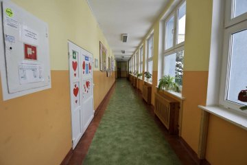 święto państwowe, dzień wolny od szkoły, dzień wolny od pracy, 20 czerwca, święto powstań śląskich