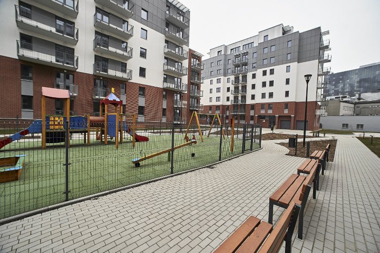 Deptanie trawnika a prawo - czy można dostać karę grzywny?