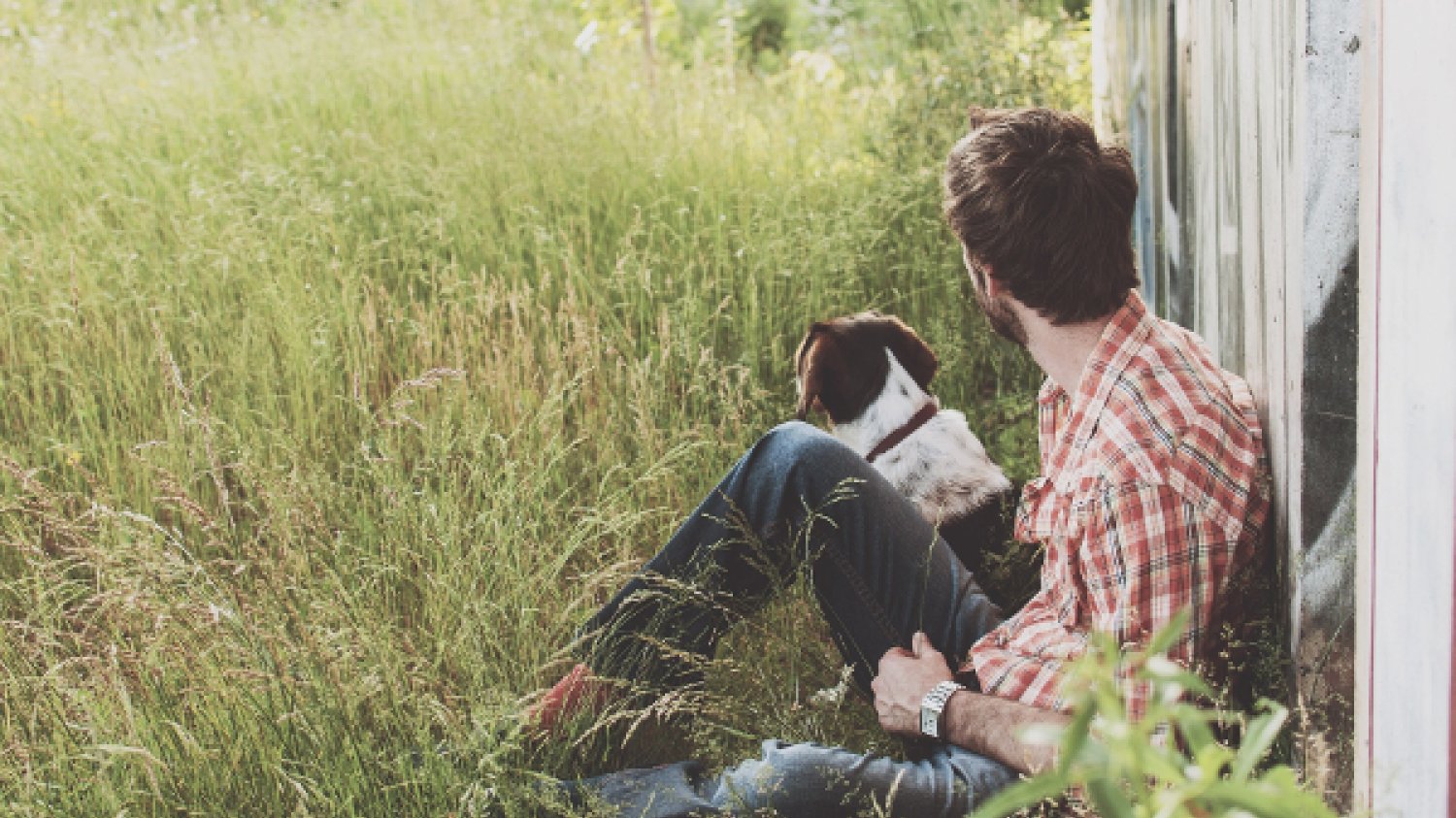 Fot. Pixabay / [url=https://pixabay.com/en/man-and-dog-countryside-dog-man-1149400/]Unsplash[/url]/[url=https://pixabay.com/en/service/terms/#usage]CC0 Public Domain[/url][/b]