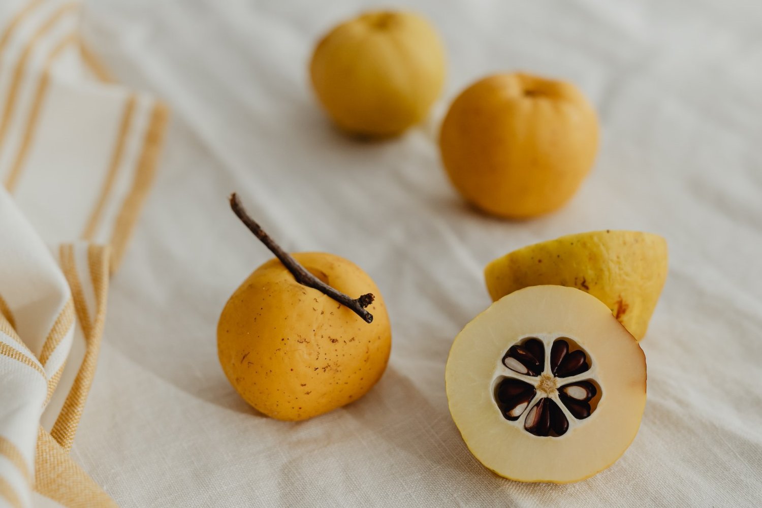 Pigwowiec: właściwości, zastosowanie, co niego zrobić, w ciąży