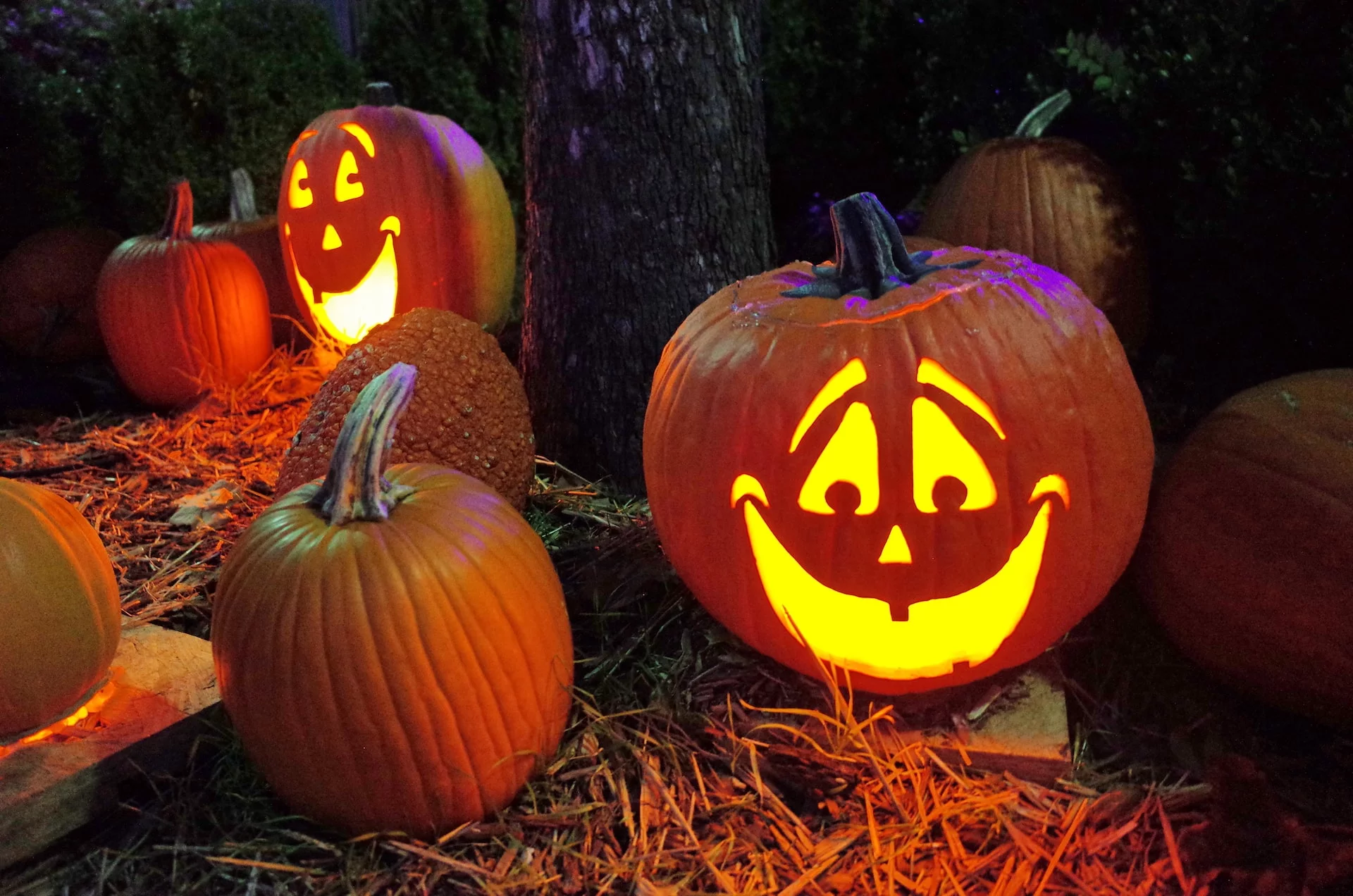 Śmieszne dynie a Halloween