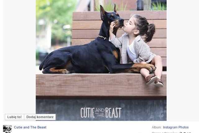 Fot. Screen z Facebooka [url=https://www.facebook.com/813859565293386/photos/a.841550912524251.1073741828.813859565293386/841552252524117/?type=1&permPage=1]Cutie and The Beast[/url]