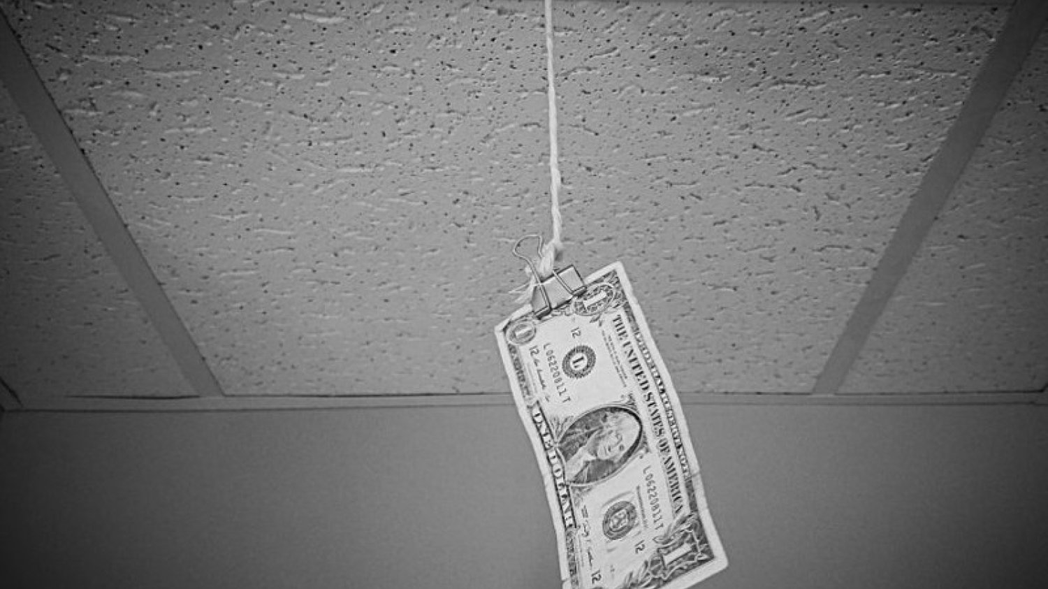 Ten banknot to element ważnego eksperymentu.
