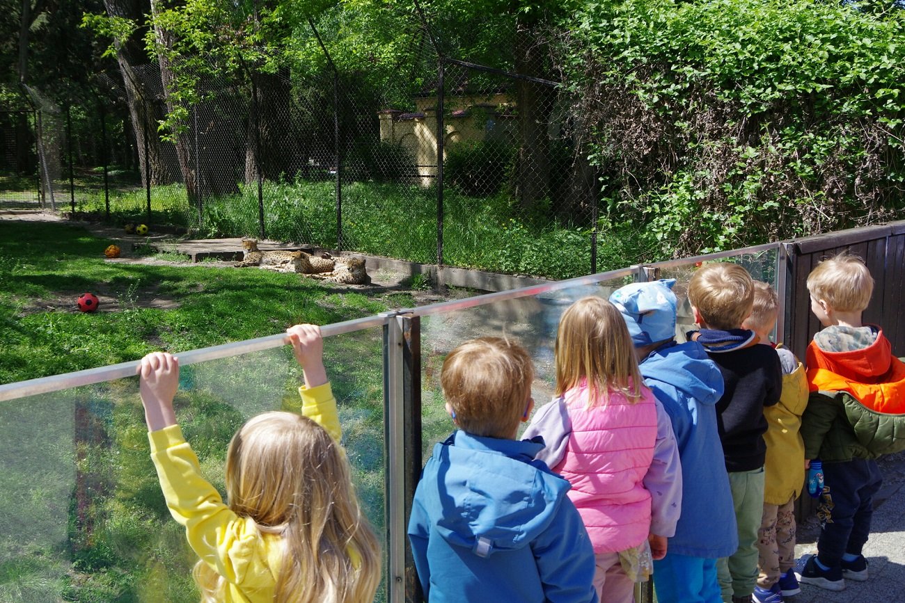 Dowiedziała się, co córka jadła na wycieczce. Matka: "Taki prowiant jak dla konia"