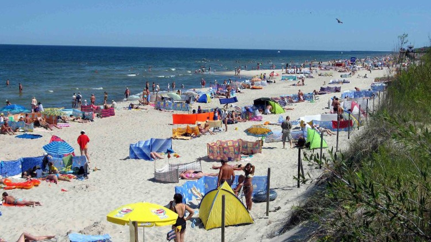 Czy wypada dziecko wypuścić na plaży bez majtek?