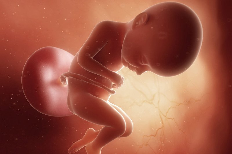 płód w 32 tygodniu ciąży