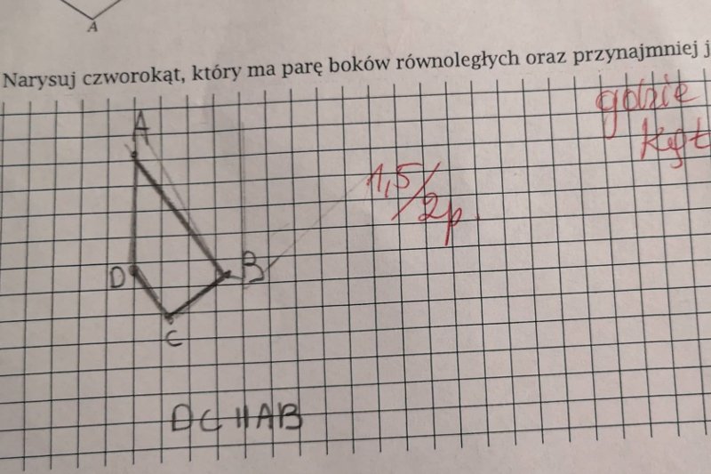 W poleceniu nie ma ani słowa o "wskazaniu kąta"