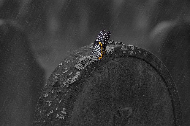 Fot. Pixabay/[url=http://pixabay.com/pl/tombstone-cmentarz-gr%C3%B3b-motyl-660890/]Huskyherz[/url] / [url=http://bit.ly/CC0-PD]CC0 Public Domain[/url]