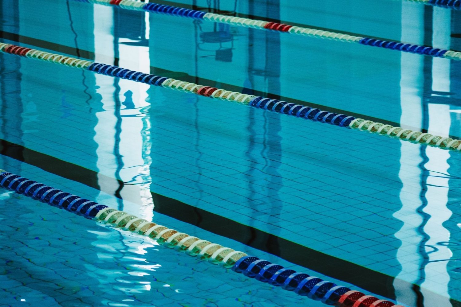 basen sportowy