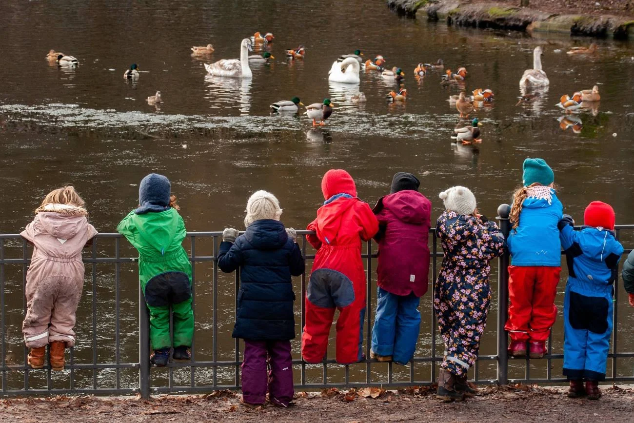 Przedszkolaki na spacerze w parku oglądają kaczki i łabędzie nad wodą.